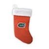Zumer Sport Florida Gators 18" Basketball Christmas Stocking HOME & OFFICE