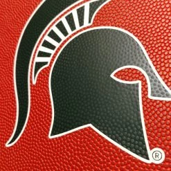 Zumer Sport Michigan State Spartans Basketball Portfolio