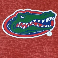 Zumer Sport BAGS Florida Gators Basketball Backpack