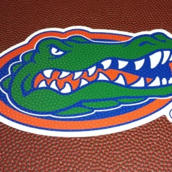 Zumer Sport BAGS Florida Gators Football Backpack